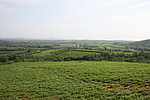 ţ1